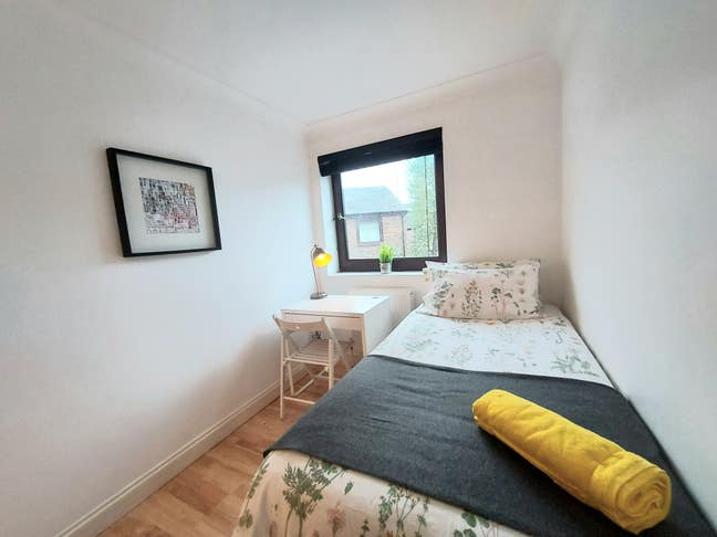 Cosy Single in Spacious House! - Canada Water Main Photo
