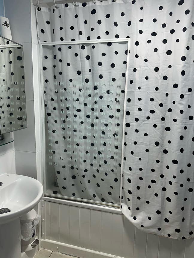 Single Room Available  Main Photo