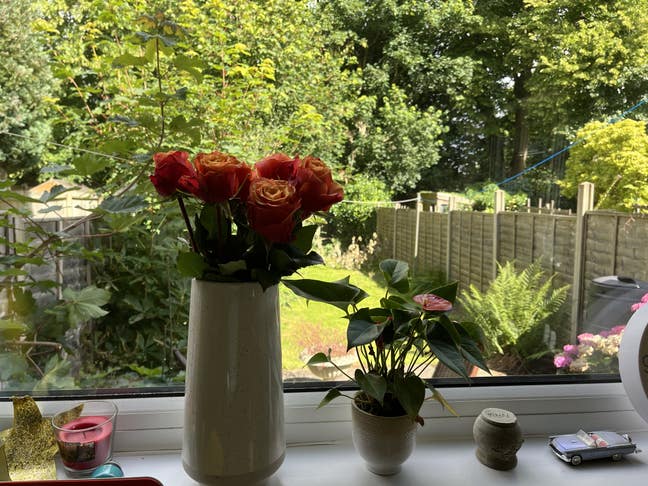 Double Room in Harborne - suit professional Main Photo