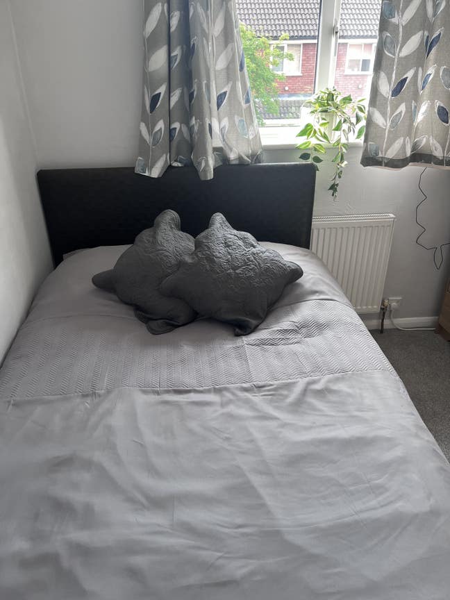 Room to rent Main Photo