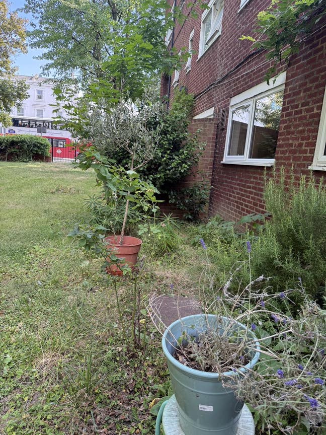 Double bed in Shepherd’s Bush for female Main Photo