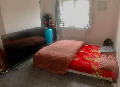 Spacious & Cosy Double Room for Rent in 5-bed Flat Main Photo
