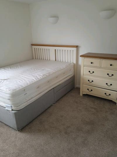 Bright room in shared house for single person Main Photo