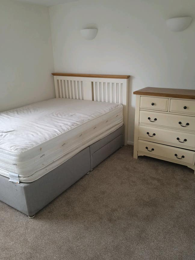 Bright room in shared house for single person Main Photo