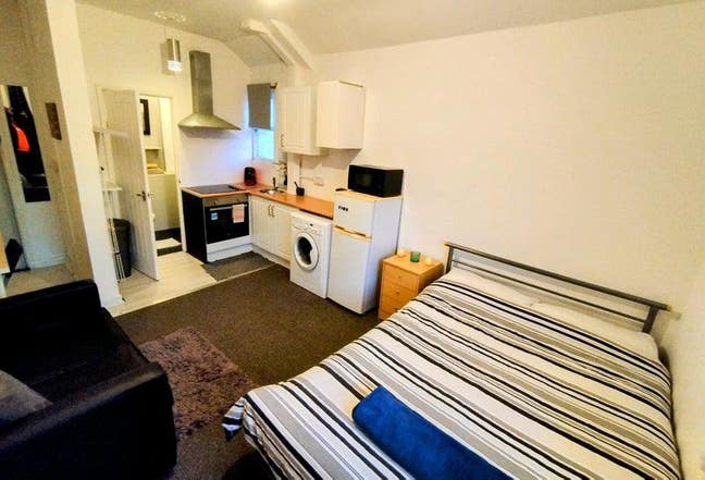 Studio Flat Roath Park/Albany Rd  Main Photo