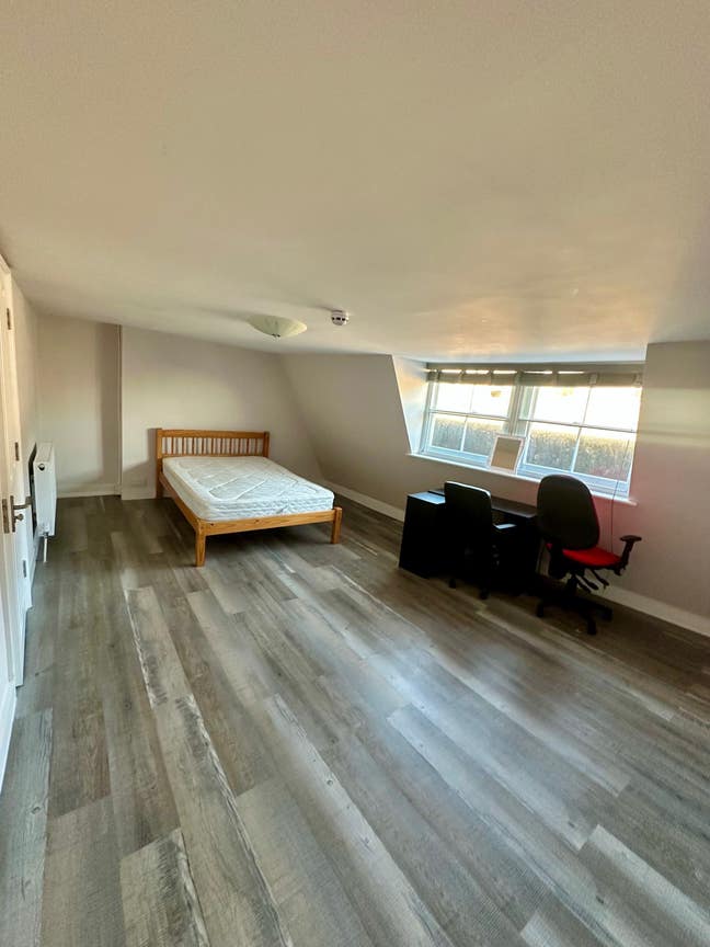 Big Bright Room + Bonus Space Main Photo