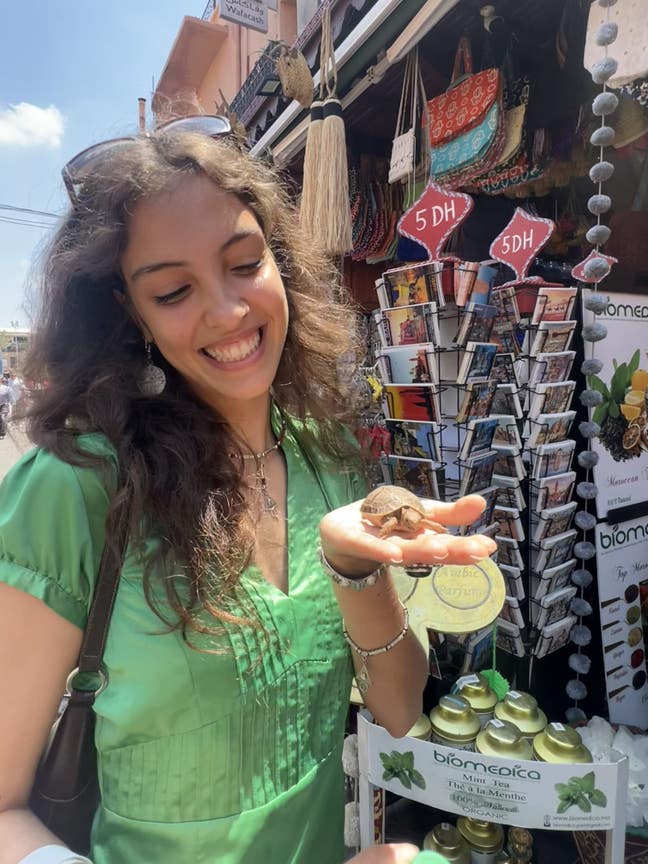 friendly creative looking for home in West⭐️ Main Photo