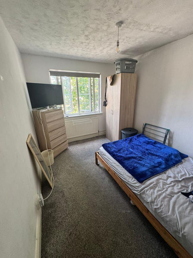 Double room in East Sheen Main Photo