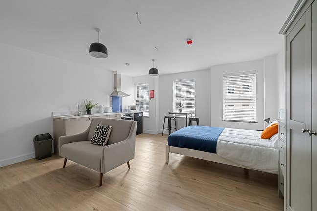 Beautifully Renovated Studio Apartments  Main Photo