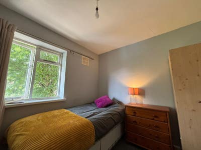 ✨Professionals House  Share  ✨ Main Photo