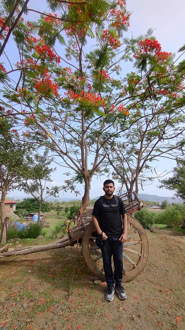 3 rooms sought by 3 males Main Photo