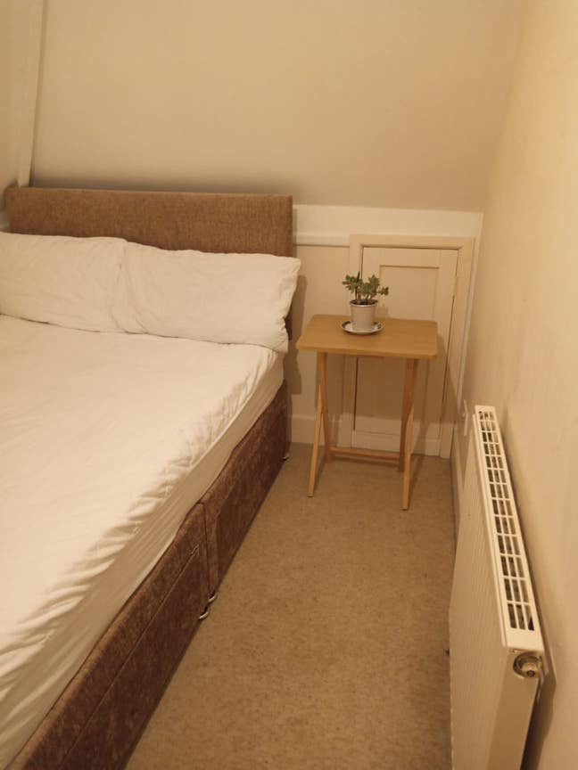 An en-suite single room available for a female!! Main Photo