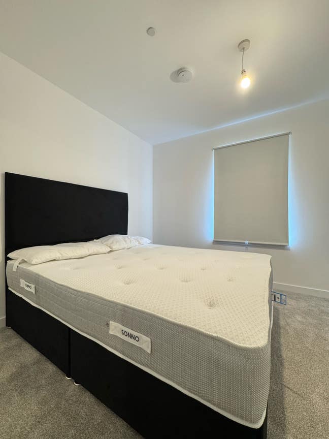 Cozy spacious room, king size bed in EH4 @900/Mnth Main Photo