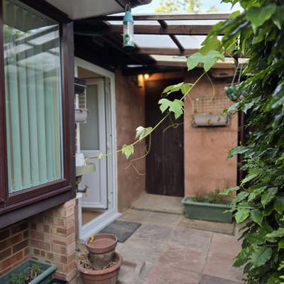 Studio Flat for Rent - Ideal for single Main Photo