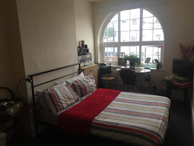 Very bright cozy room in Kennington area. Main Photo