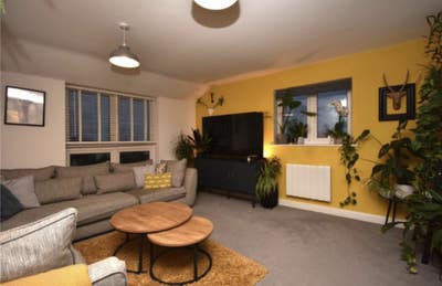 Double room for rent  Main Photo