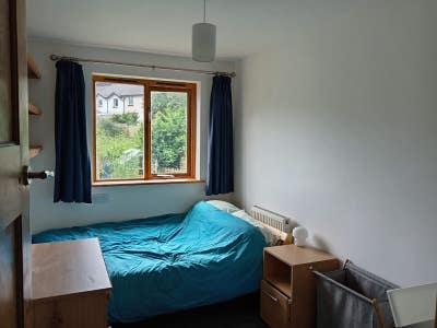 Light and Airy Double Room in Collapark, Totnes Main Photo