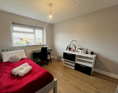 Large double room Main Photo