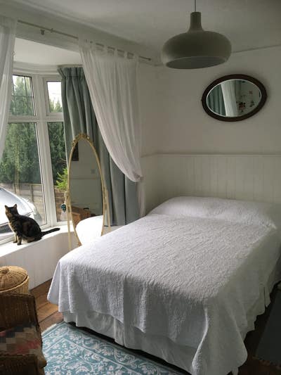 Friendly home share central petersfield Main Photo