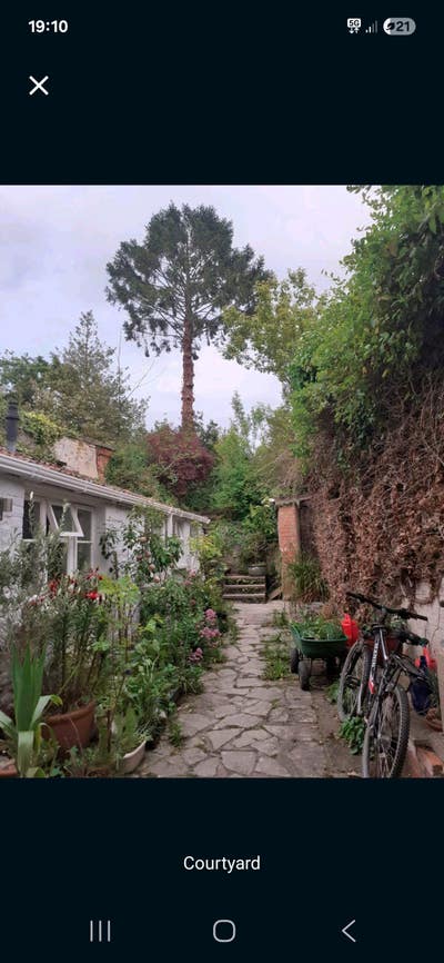 Lovely 1-bed annexe in quiet, central location Main Photo