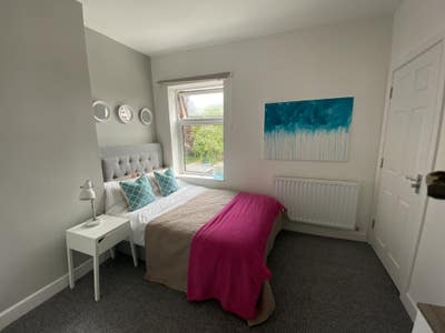 Stunning Room in Small House Share  - Centrum 100 Main Photo
