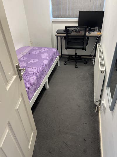 Single Room for Female in  Shirley Main Photo