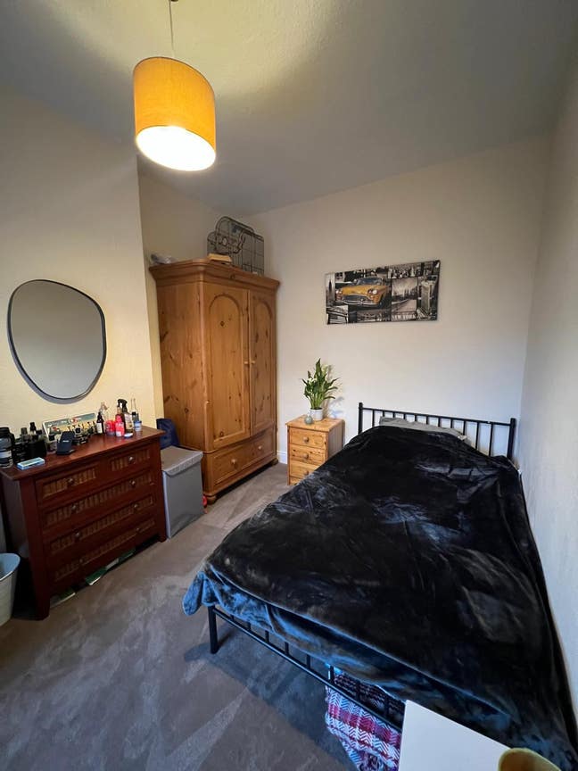 Double room in a cosy vegetarian home   Main Photo