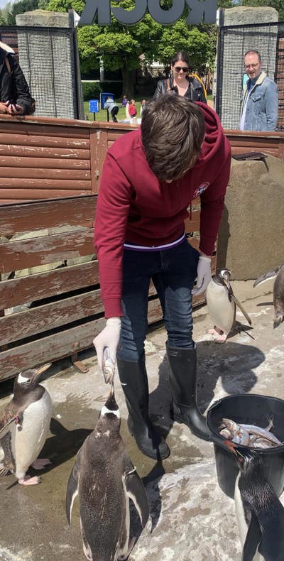 Looking for own room or living space  Main Photo