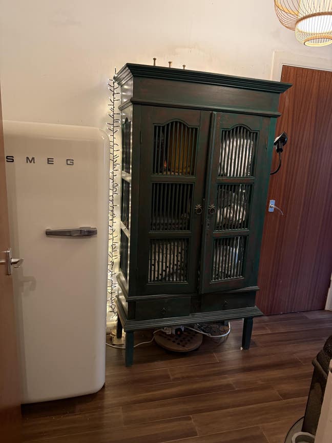 Bright Room with Garden View + Sunroom –Warrior Sq Main Photo