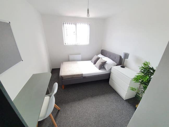 1 Double Room Ready NOW In L6!  - Great Price! Main Photo