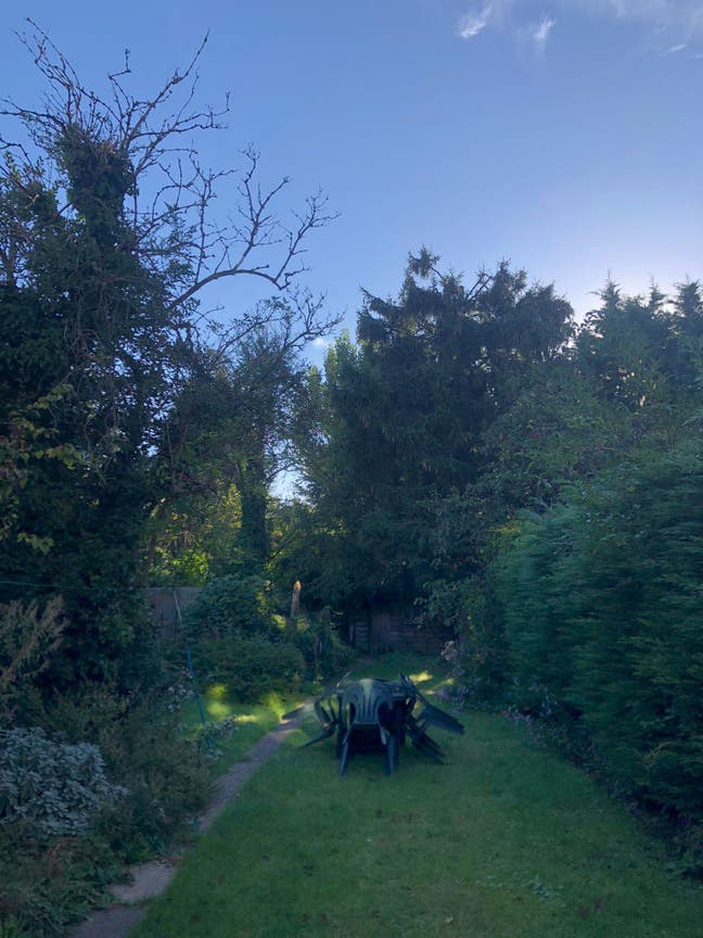 Friendly house looking for new housemate Main Photo