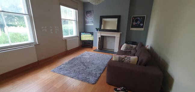 1 bed garden flat Peckham Rye  short term let Main Photo