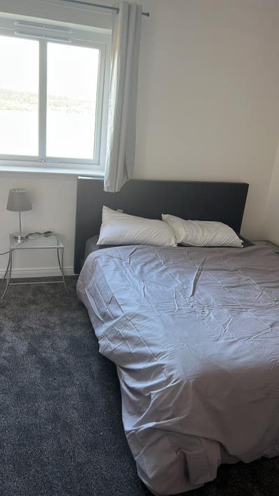 Room to let Main Photo