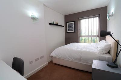 Multiple Rooms Available to Move in Immediately!! Main Photo