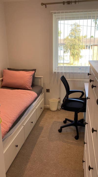 Single room available - female housemate Main Photo