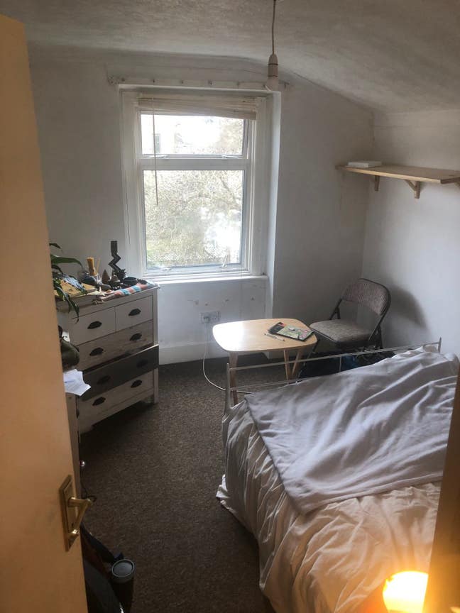 Sublet room in friendly queer, vegan collective Main Photo