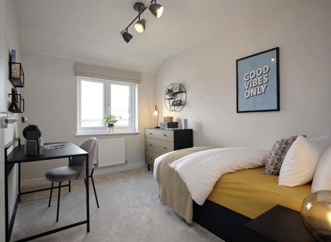 Modern 4 Bedroom in Badbury Park  Main Photo
