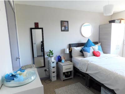 Newly refurbished single occupancy room BILLS INC Main Photo