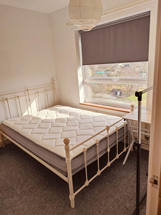Room available preferably for females  Main Photo
