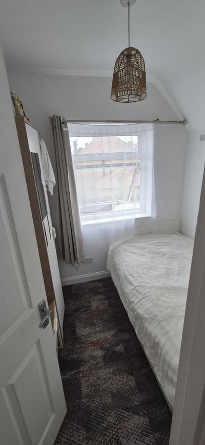 We speak English and Romanian  Main Photo