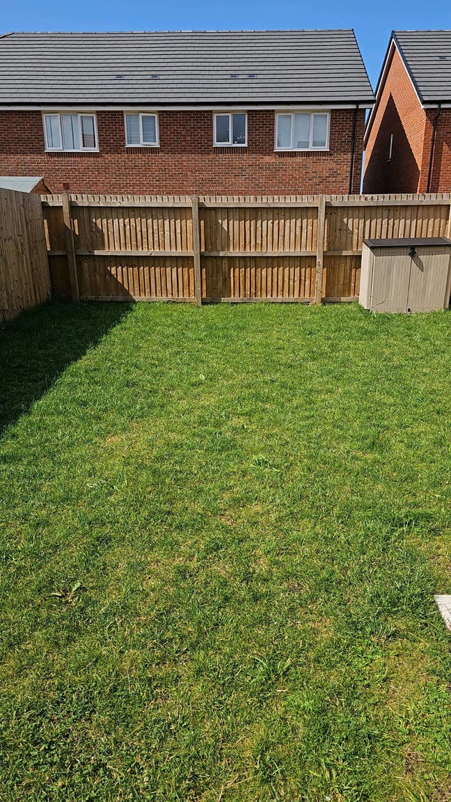 Double Room fully furnished  available immediately Main Photo