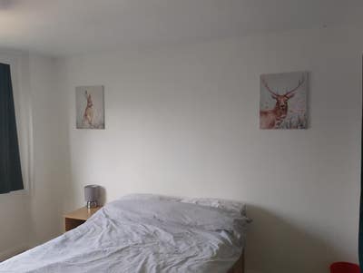 Double room in 2 bed flat Main Photo