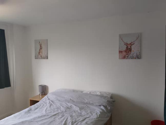 Double room in 2 bed flat Main Photo