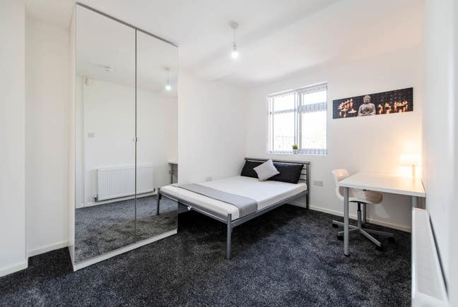 Spacious Double Room for Professionals  Main Photo