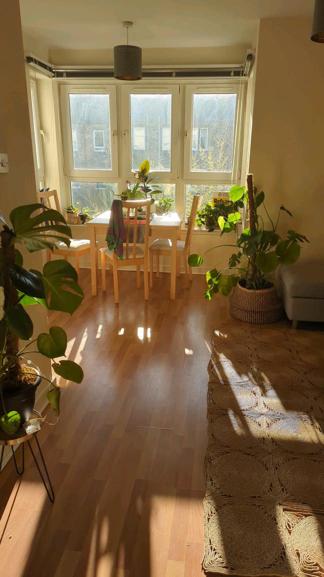 Bright airy flat in Meadowbank  Main Photo