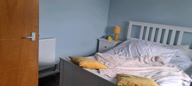 My quiet space..with a very loving dog. Main Photo