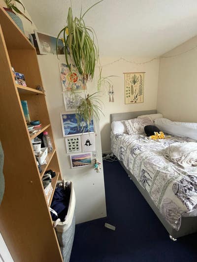 Room available in a shared house in Newington Main Photo