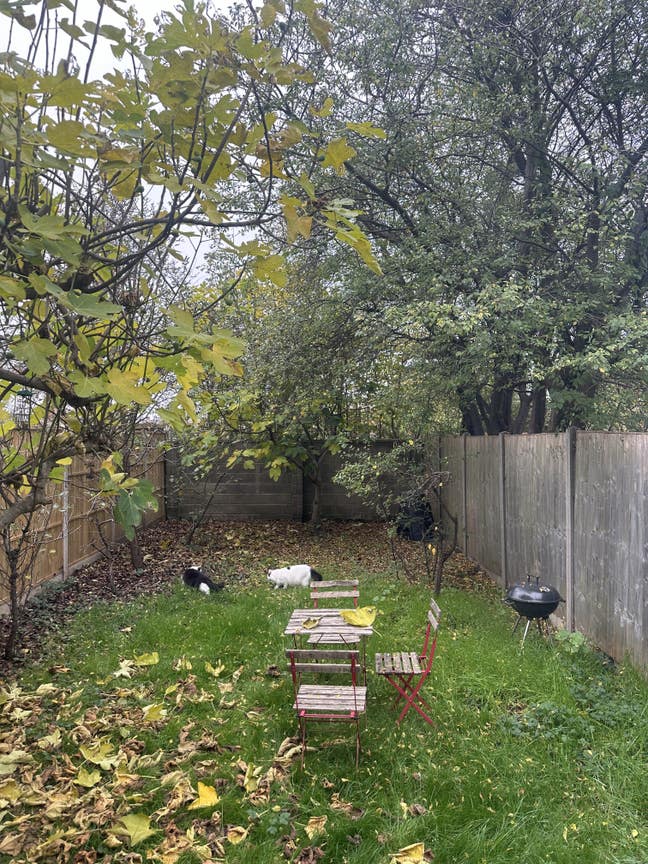 Friendly Houseshare in Turnpike Lane  Main Photo