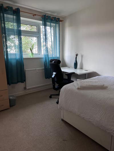 Welcoming plant-based (vegan) home in central area Main Photo
