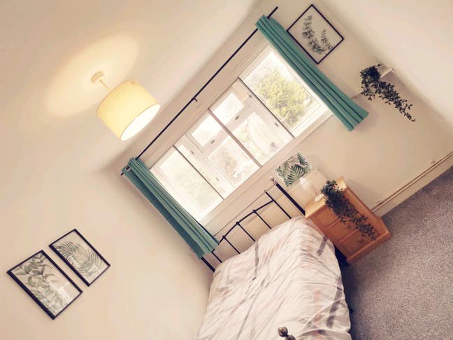Clean tidy home Main Photo